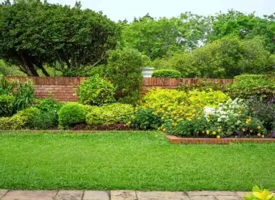 landscaping services Henderson